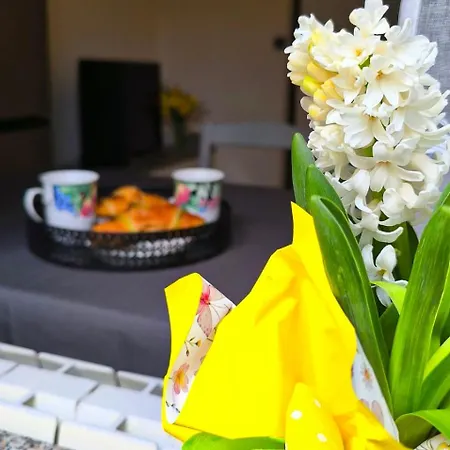 Apartment Leona's Paradise